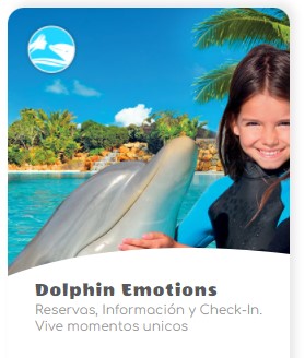 dolphin-emotions-zoomarine