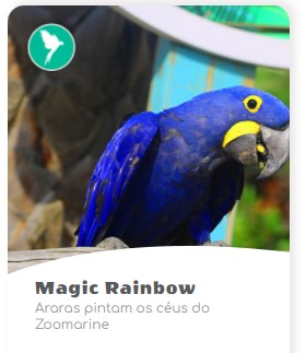 magic-rainbow-zoomarine